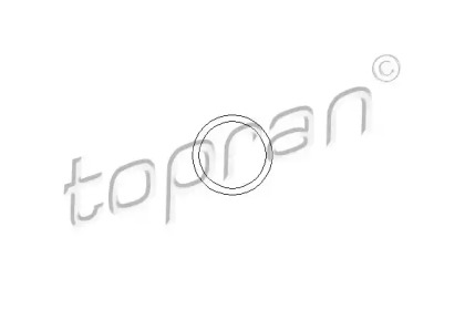 202325 TOPRAN Прокладка, термостат