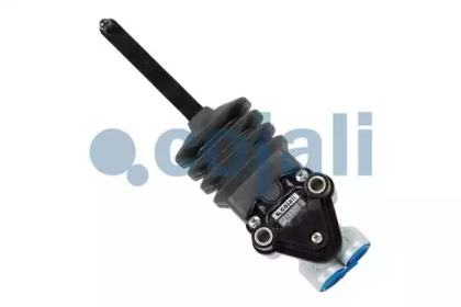 2214501 COJALI CJ 2214501