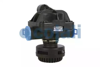 2226503 COJALI CJ 2226503