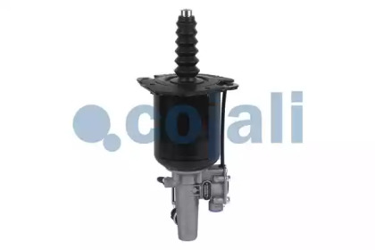 2250245 COJALI ПГУ