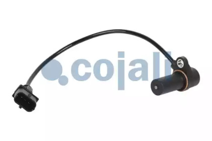 2260494 COJALI CJ 2260494