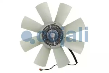 7075400 COJALI CJ 7075400